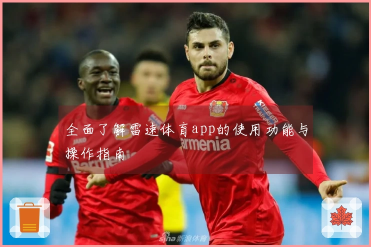 全面了解雷速体育app的使用功能与操作指南